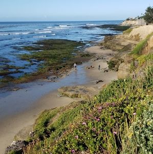 Meet your Posher, Margarita